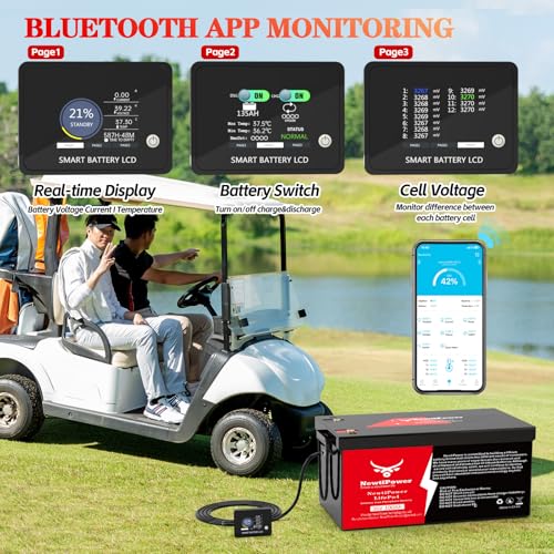 NewtiPower 36V 100Ah LiFePO4 Golf Cart Battery