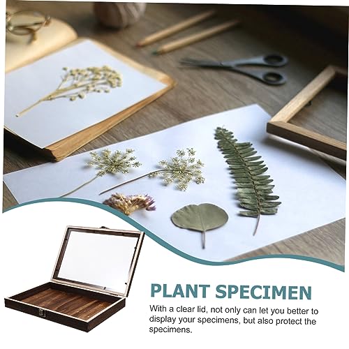 Vitrine pour objets de collection avec cadre en bois de qualité - 8