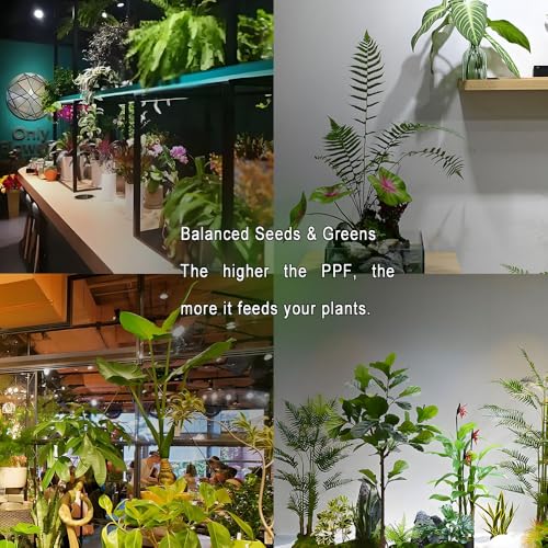 Pflanzenlampe Led Chips Delaman Grow Light Full Spectrum 380nm-840nm Wellenlänge Pflanze wachsen Licht für Pflanzen Wachstum, 25 Stück 3W 8 Pflanzenlampe Led Chips Delaman Grow Light Full Spectrum 380nm-840nm Wellenlänge Pflanze wachsen Licht für Pflanzen Wachstum, 25 Stück 3W – Bild 8