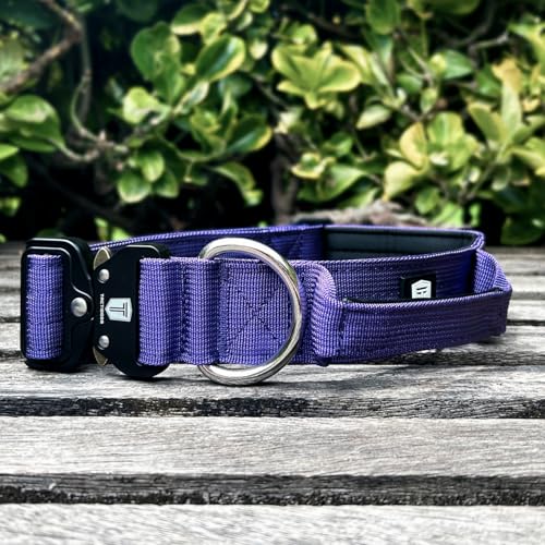 Conseils d'usage pour collier tactique chien