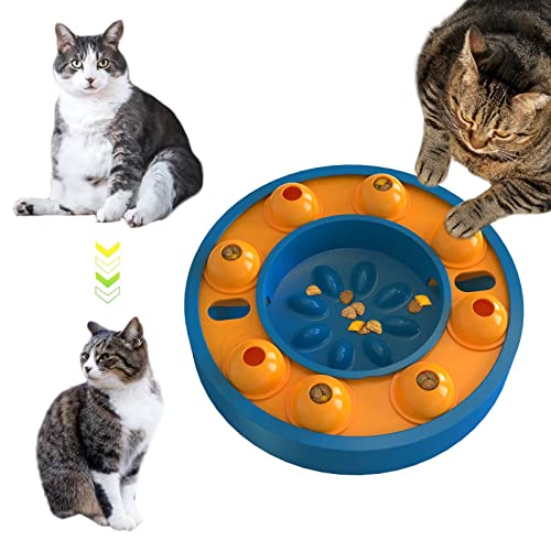 Top 10 Best Puzzle Feeder For Cats Reviews & Buying Guide Katynel