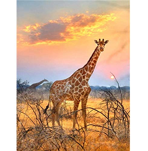 Puzzle De 1000 Pièces en Bois pour Adultes Girafe pour Un Enfant Ou Un Ami