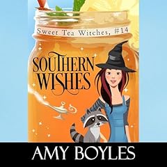 Couverture de Southern Wishes