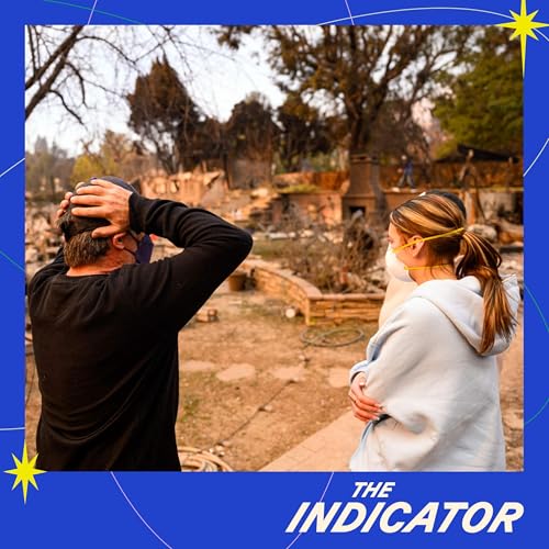 How to avoid scammers after a natural disaster