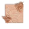 wet-n-wild-MegaGlo-Highlighting-Powder-Precious-Petals wet n wild MegaGlo Highlighting Powder, Highlighter Makeup, Shimmer Glow, Natural Pink Precious Petals
