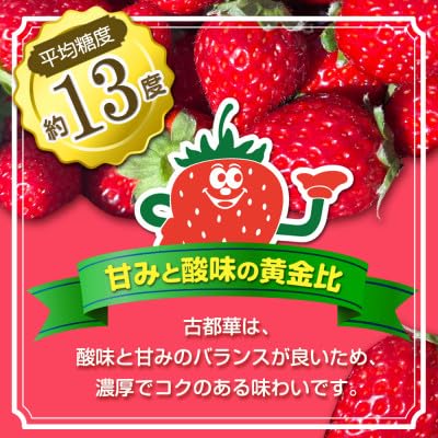 Amazon.co.jp: いちご 古都華・ことか2パック(8～15粒入り/1pc) : 食品