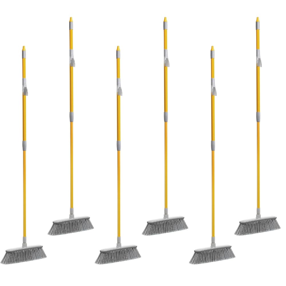 Apex 6x Scopa per Interni con Gomma Paracolpi – Setole Morbide per Superfici Delicate, Manico Allungabile, Pettine Pulisci Setole