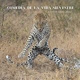  Comedia de la Vida Silvestre Calendario 2022: Calendario 2022 8.5\'\'x8.5\'\' - Regalos para familiares y amigas amigos - Animales divertidos