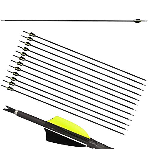 ACCMOS 12 STK Bogenschießen Carbon Arrow Shaft ID 4,2 mm Spine 500 600 700 800 900 1000 Carbon Tube 31" Recurve Bogen Schießen Jagd DIY Pfeil Zubehör (Spine 1000)