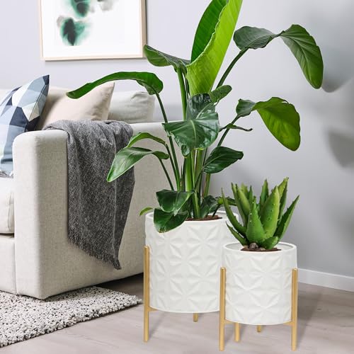 La Mejor review de Macetas decorativas grandes que Puedes comprar On-line. 8 La Mejor review de Macetas decorativas grandes que Puedes comprar On-line. 8