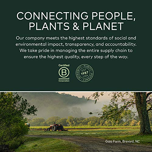 Gaia Herbs Astragalus Supreme - Immune Support Supplement With Schisandra Berry & Ligustrum - Astragalus Root Capsules For Immune Defense - Herbal Supplement - 60 Vegan Liquid Phyto-Caps #TOP5