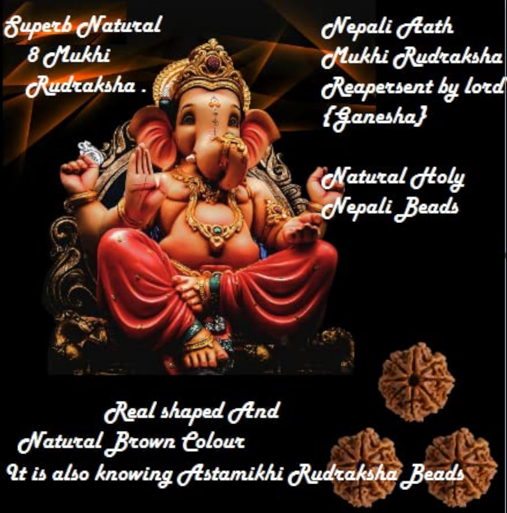 8 Mukhi Rudraksha Nepali Beads, Genuine Lab Certified