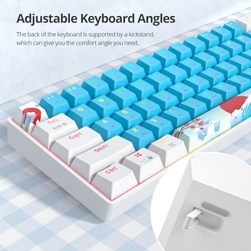 Image of 60 Percent Gaming Keyboard Portable Wired Mechanical Keyboard Ultra Compact Keyboard RGB Backlit Red Switch for Windows PC Laptop Gamers(61 Blue)