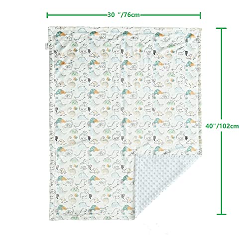 Image of CREVENT 2Pcs 30''X40'' Cute Cozy Fluffy Warm Baby Blankets for Infants Toddlers' Bedding Crib Cot Stroller - Grey Cloud + Minky Dinosaur