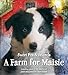 A Farm for Maisie (Sweet Pea & Friends, 3)