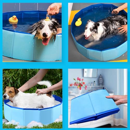 Hundepool 50 * 10 cm, faltbarer rutschfester Planschbecken für Hunde