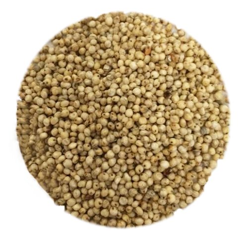 OliveNation Sorghum Popping - 32 Ounce