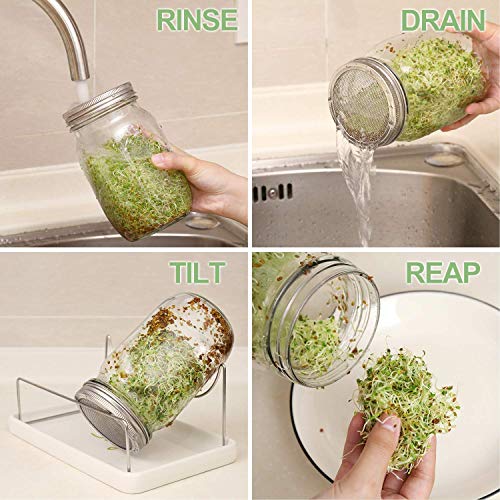 Image of Complete Mason Jar Sprouting Kit - 2 Wide Mouth Quart Sprouting Jars with 316 Stainless Steel Sprouting Lids, Drip Tray and Stand