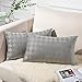 Topfinel Housse Coussin 30x50 cm Gris Clair Rectangulaire Canapé Salon Décoration Maison Scandinave en Velours Doux Set de 2 Petit Housse de Coussin Lombaire Motif Geometrique Gaufrage à Carreau Boho