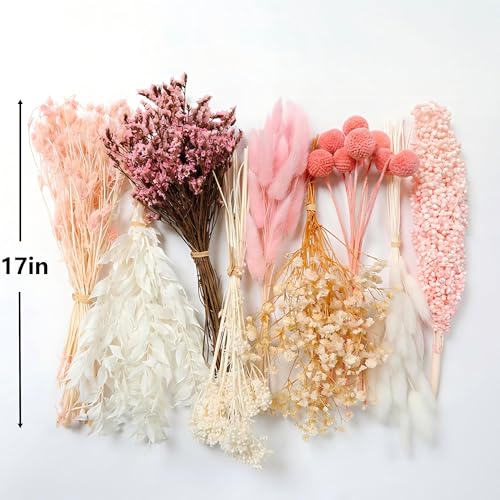 Kit DIY Ramo de Flores Secas, 9 Tipos Naturales miniatura 3