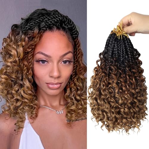 Boho Braids Crochet Hair Pre Looped 10 Inch - Goddess