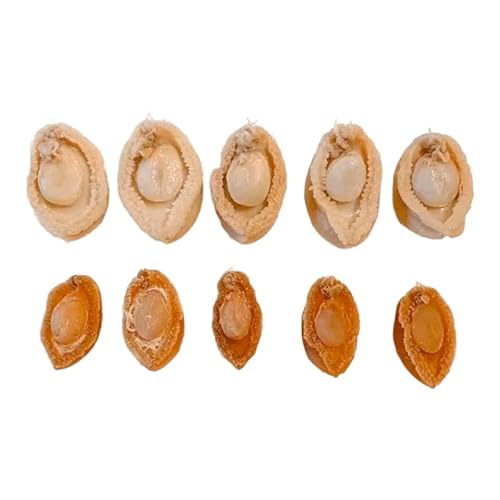 Royal Seafood Usa Premium Grade South America Dried Mini Size Abalone thumb #4