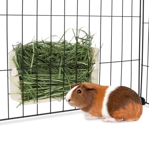 Hypeety Rabbit Hay Feeder