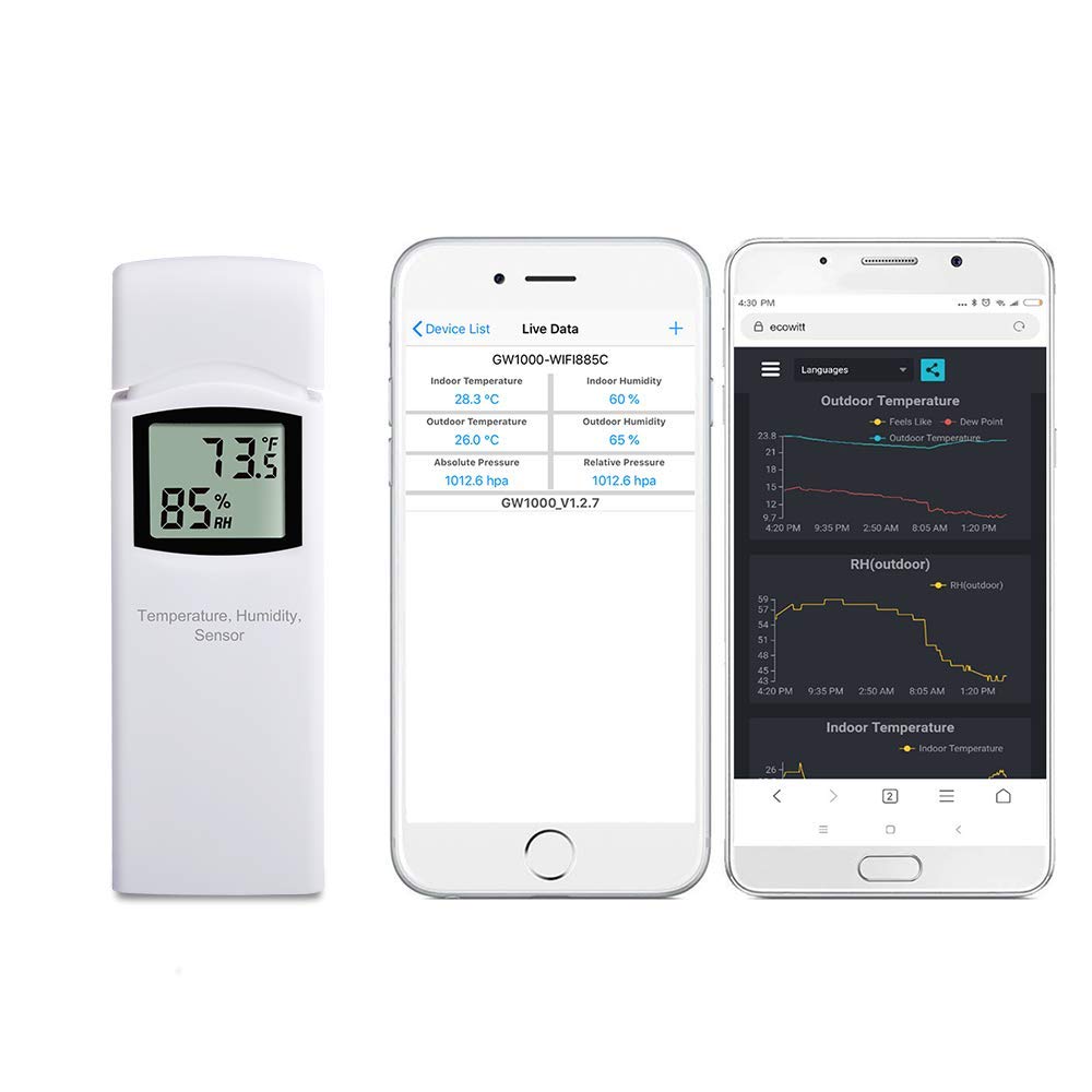 Ecowitt WN32(WH32) Wireless Outdoor Temperature and Humidity Sensor, Thermometer and Hygrometer Gauge with LCD Display, Default Degree Fahrenheit, Remote App Monitoring