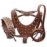 Haoyueer Leather Spiked Studded Medium & Large Dog Collars, Harnesses & Leashes 3Pcs Matching Set for Pit Bull,Mastiff, Boxer, Bull Terrier(Brown,XL)