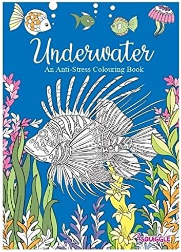 Anila's Set of 4 Relaxing & Soothing Colouring Books with 20 Colouring Pencils - Image 5