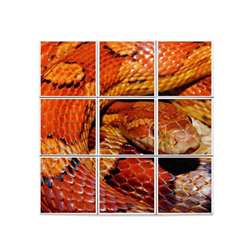 Serpent des blés en carreaux céramique pour raviver un mur terne avec des couleurs chaudes
