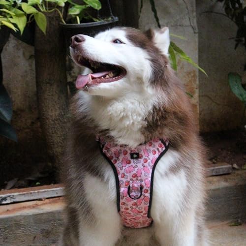 Image of Pupcicle Party No-Pull Dog Harness, M (14-20kg, 22-30 inch)