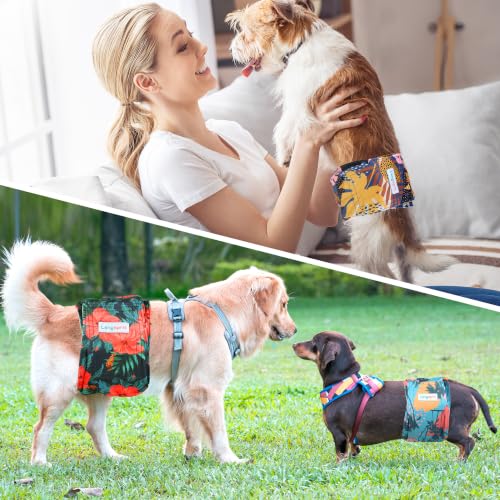 Image of Langsprit Male Belly Bands for Dogs (Pack of 3) - High Absorbing Dog Wraps Male Washable - Reusable Dog Diapers (Yellow Maple Leaves, XX-Large)