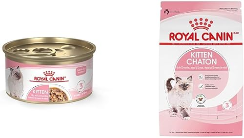 Royal Canin Bundle Feline Health Nutrition Kitten Thin Slices in Salsa Alimento enlatado para gatos, lata de 3 onzas + alimento seco para gatos,