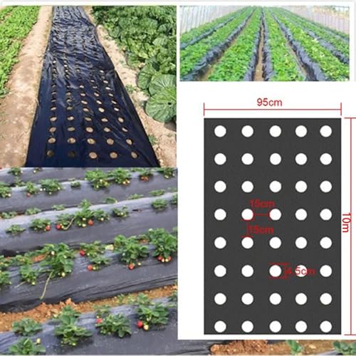 Garden Vegetable Mulch Film,Agricultural Perforated Film, 5 Holes, 45mm Hole Diameters, Black Color