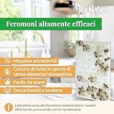 Zoom IMG-1 hey nature trappola anti tarme
