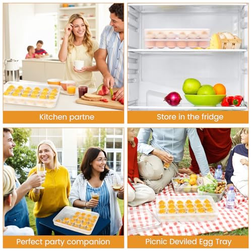 image for HANSGO Deviled Egg Containers with Lid, Deviled Egg Tray Holder Carrie