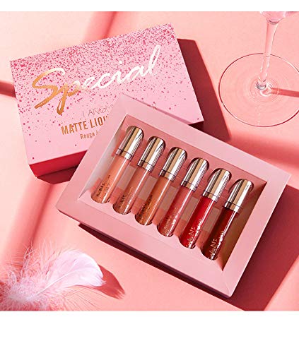BAISEN DIARY Matte Lipstick & Matte Liquid Lipstick & Lip Liner Makeup Set, All in One Lips Makeup Kits Long-Lasting Wear Non-Stick Cup Not Fade Waterproof Lip Make Up Gift Set (20)