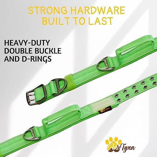 Collier robuste chien en nylon épais ADITYNA rembourré de qualité supérieure vert large - 6