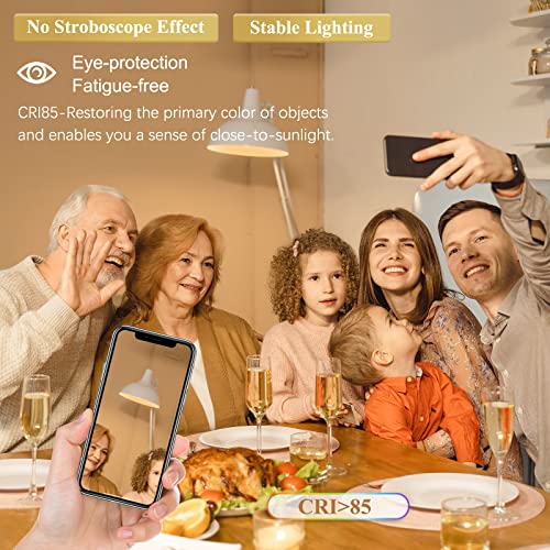 Dicuno G4 Led Bulb, Jc Bi-Pin Base 2W Light Bulb, Ac/Dc 12V, 20W T3 Halogen Replacement Bulb, Warm White 3000K, For Under Cabinet Light, Landscape Light, Chandelier, Non-Dimmable, 10-Pack #TOP5