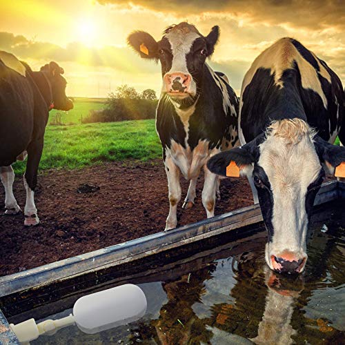 2 pz 1/2 20mm galleggiante valvola a sfera di