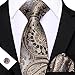 Barry.Wang Champagne Grey Tie for Men Paisley Silk Necktie Pocket Square Cufflinks Set Formal Wedding Party Business