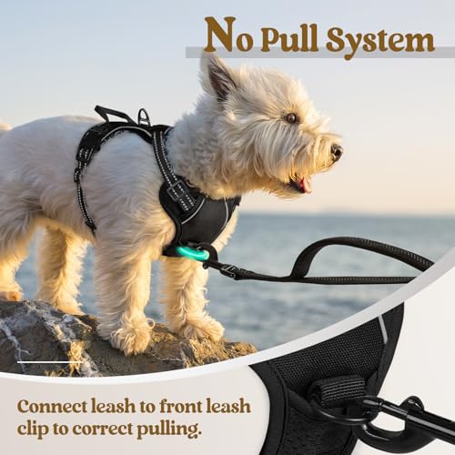 Image of rabbitgoo Dog Harness No Pull with 2 Leash Clips, Adjustable Soft Padded, Reflective Oxford No Choke Pet Vest with Easy Control Handle for Puppy, Black, XS