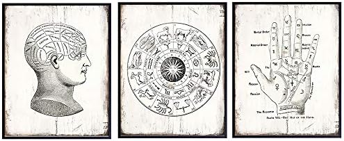 Amazon.com: Office Decor Vintage Palmistry Chart 5 Sizes ...