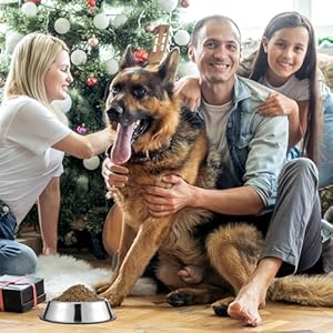 8 Pack Stainless Steel Dog Bowl Metal Dog Bowls with Rubber Base Nonslip Pet Bowls Cat Feeding Bowls Pet Food and Water Bowls for Indoor Small Medium Large Dogs Cats Pets 186 Oz  Cucciolini Doodles 8 pack stainless steel dog bowl metal dog bowls with rubber base non slip pet bowls cat feeding bowls pet food and water bowls for indoor small medium large dogs cats pets 18 6 oz   cucciolini doodles