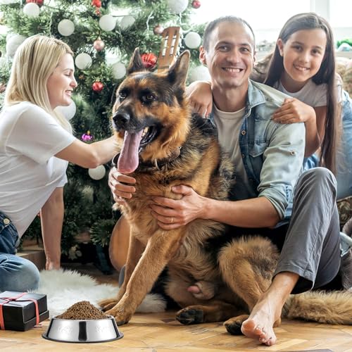 8 Pack Stainless Steel Dog Bowl Metal Dog Bowls with Rubber Base Nonslip Pet Bowls Cat Feeding Bowls Pet Food and Water Bowls for Indoor Small Medium Large Dogs Cats Pets 186 Oz  Cucciolini Doodles 8 pack stainless steel dog bowl metal dog bowls with rubber base non slip pet bowls cat feeding bowls pet food and water bowls for indoor small medium large dogs cats pets 18 6 oz   cucciolini doodles