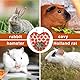 Kaninchen Heutasche, AufhäNgen Meerschweinchen Heutasch FüR Den KäFig, Nylon ZubehöR Heutaschen FüR Kaninchen, Meerschweinchen, Chinchillas Und Andere Kleintiere (Erdbeere)