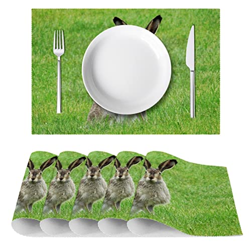 Sets de table antidérapants pour protéger la table des plats chauds