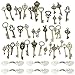 Zasvec Clé Vintage 46 Pièces Clés Squelette Clés Squelette en Antique Bronze Vintage Squelette Clés Clés de Vol Clé Rustique avec 50 Charms Ailes Libellule Blanche