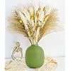 90PCS Natural Dried Pampas Grass Bouquet,Boho Home Decor Bouquet, Phragmites Dried Flowers,Bouquet for Wedding Floral…